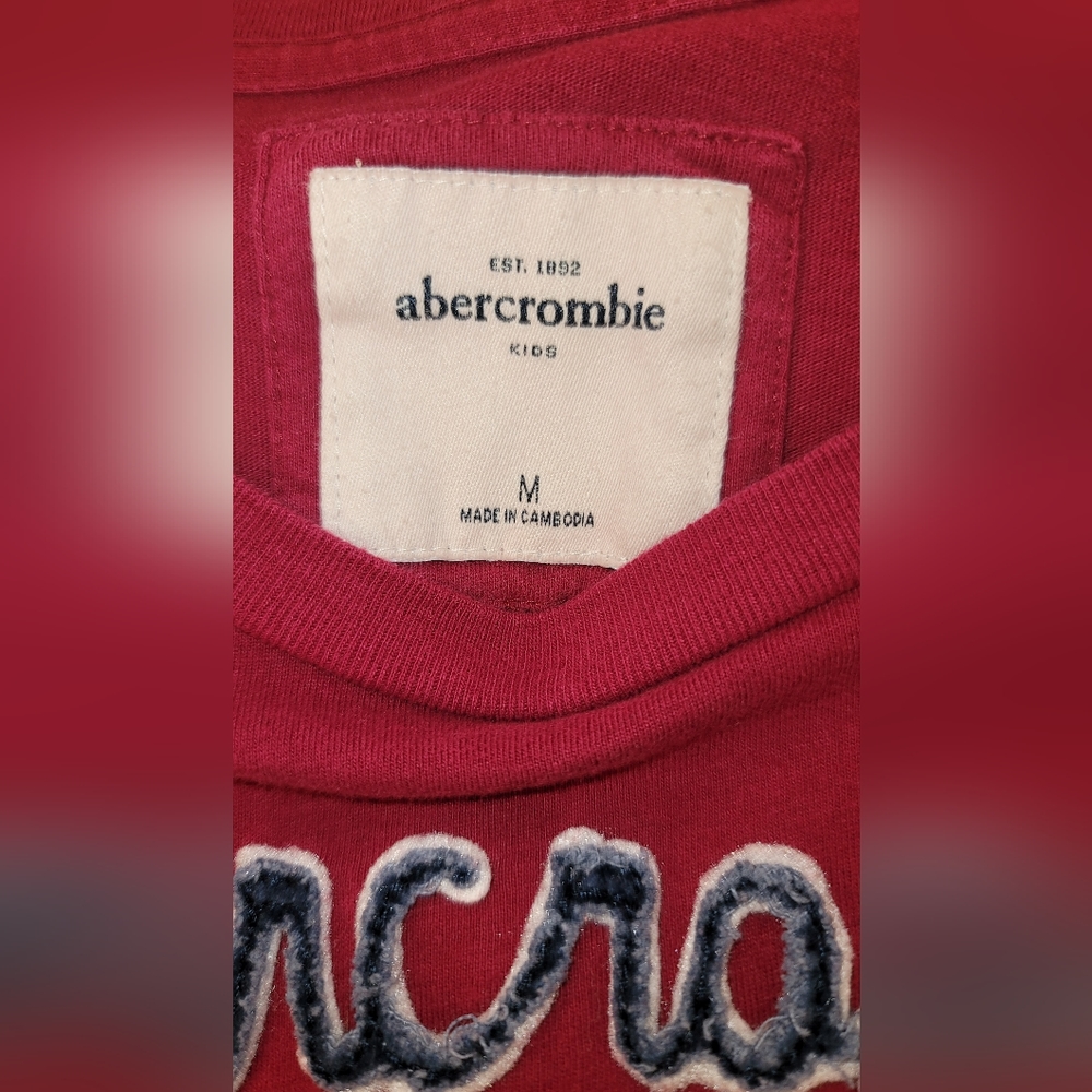 🎯 LAST CHANCE $5 FIRM Abercrombie Girls M (12) L/S top w/collegiate lettering - Picture 3 of 5